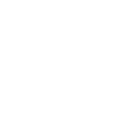Initiateurs